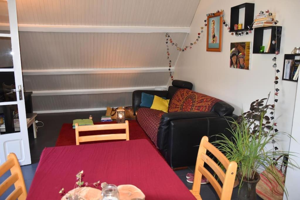 Apartamento Le Strelitzia 1 Cilaos Exterior foto